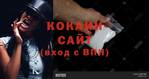 гидра Лагань