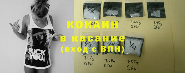 гидра Лагань