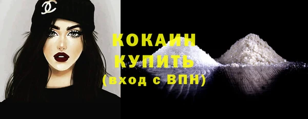 гидра Лагань