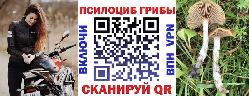 Галлюциногенные грибы ЛСД Екатеринбург