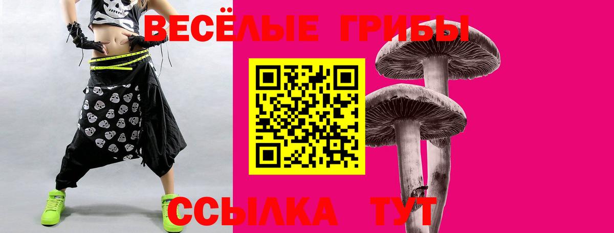 Галлюциногенные грибы Psilocybe  Вход с VPN  Екатеринбург  Псилоцибиновые грибы Magic Shrooms 